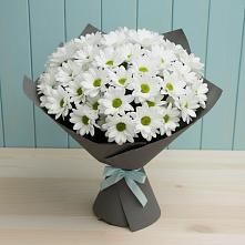 Букет цветов из:  Хризантемы в Бичуре