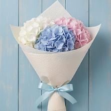 Букет цветов из:  Гортензия в Бичуре