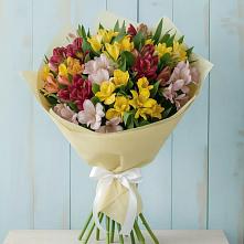 Букет цветов из:  Альстромерии в Бичуре