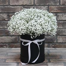 Цветочная композиция из Гипсофила в шляпной коробке в Бичуре