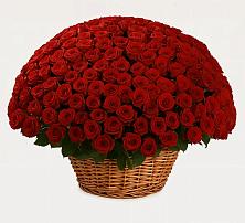 Премиум букет из: Розы в Бичуре