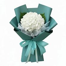Букет цветов из:  Гортензия в Бичуре